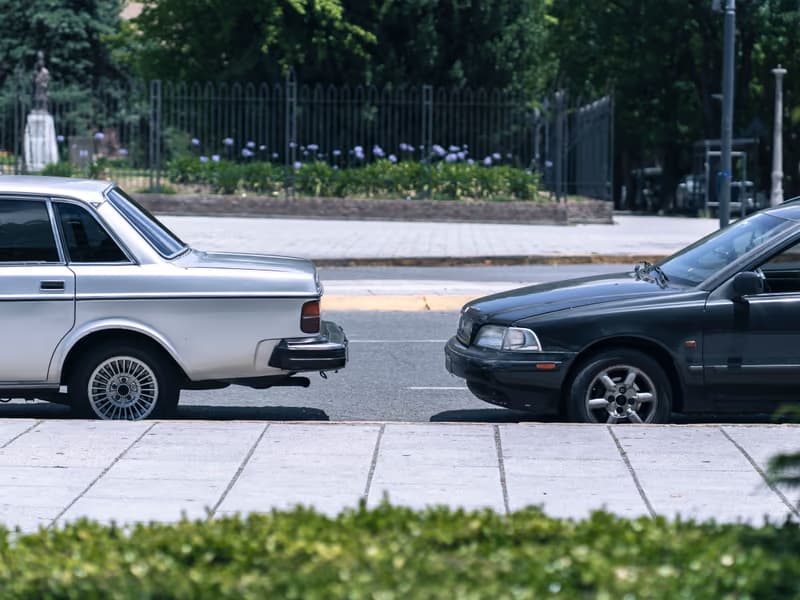 Zwei Autos am Strassenrand vor Hecke und Zaun